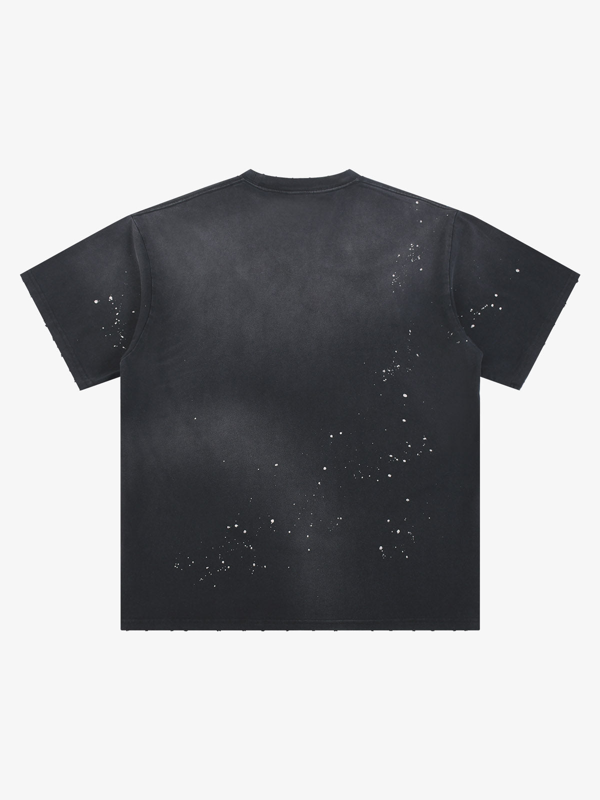 Vintage Washed precipice Crest Logo T-Shirt